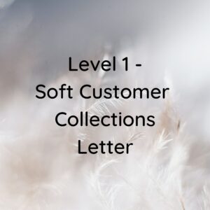 Level 1 – Soft Collections Letter