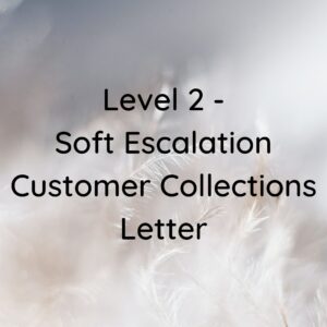 Level 2 – Soft Escalations Letter