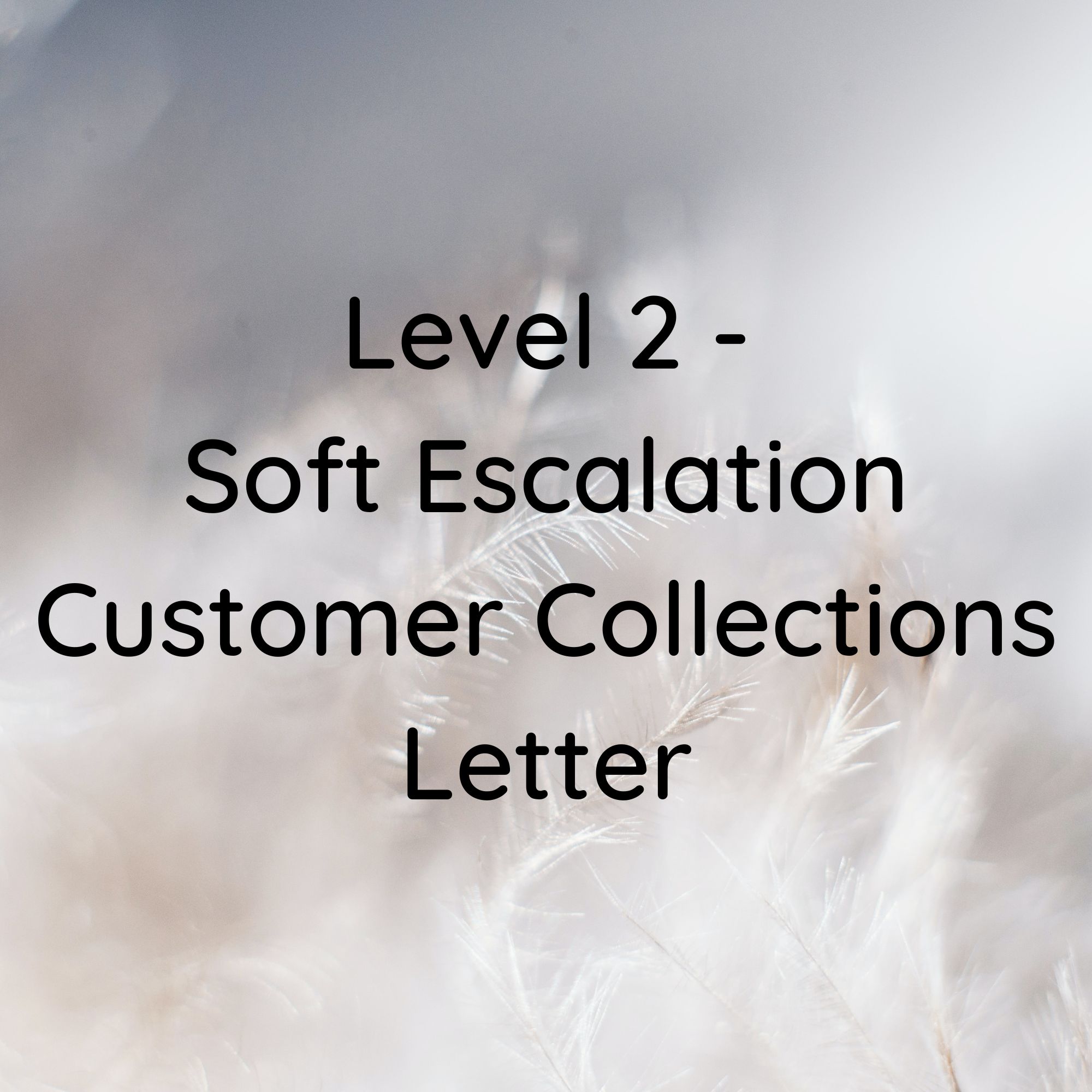 Level 2 - Soft Escalation Customer Collections Letter